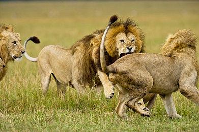 《蔑视》反向跳票至10月14日 全新预告公开